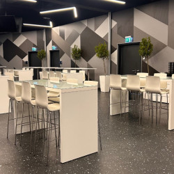 híd koktélasztal és alice bárszék bérlés, brent.hu